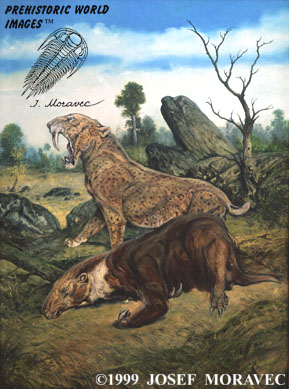 Saber Tooth Cat - Pleistocene period