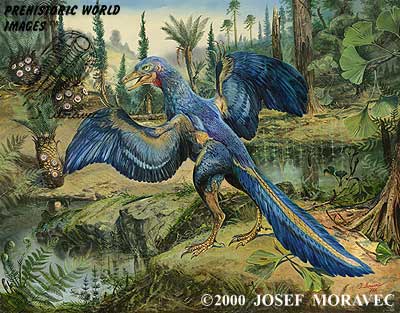 Archaeopteryx - Jurassic Reptile