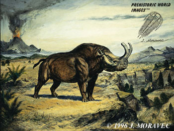 Brontotherium  - Tertiary period