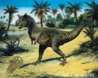 Carnotaurus sastrei - Cretaceous dinosaur