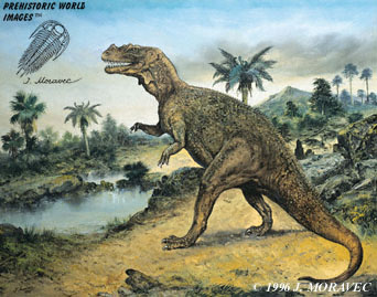 dinosaurs - ceratosaurus 