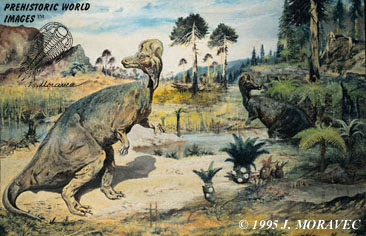 Corythosaurus casuarius - Cretaceous dinosaur