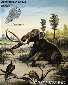 Columbian Mammoth - Pleistocene epoch