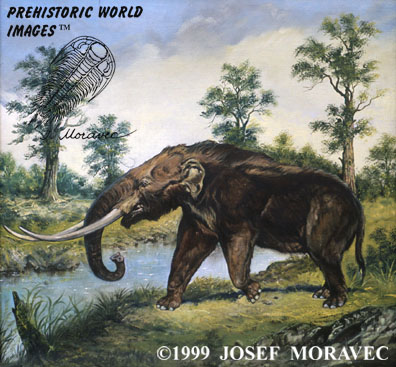 http://www.prehistory.com/dinosaurs/mastodon.jpg