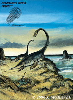 Plesiosaurus - Jurassic reptile