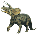 Triceratops - prorsus - Cretaceous Dinosaur