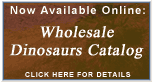 Wholesale - dinosaur toys, remote control dinosaur toys, dinosaur pictures, dinosaur party, dinosaur games, dinosaur gifts, free gifts, free toys, dinosaur images, dinosaur exhibits, dinosaur t-shirts