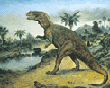 Jurassic dinosaur - Ceratosaurus