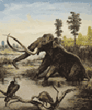 Columbian Mammoth - Pleistocene