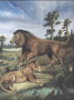 American Lion - Panthera leo atrox