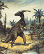 Parasaurolophus