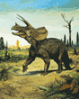 Triceratops