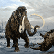 wooly mammoth - prehistoric animals - pleistocene